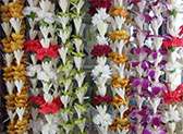 Cindy's Lei Shoppe