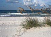 De Palm Island