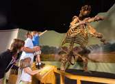 Museum of Arts & Sciences
