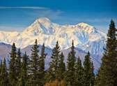Denali National Park/Talkeetna