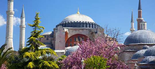 Hagai Sophia