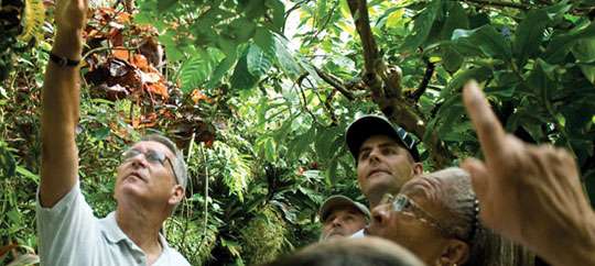 Krohn Conservatory
