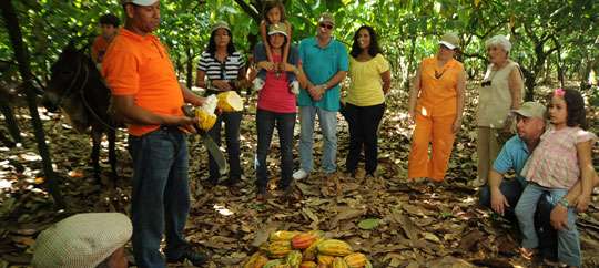 Cocoa Trail