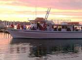 The Manatee Scenic Tours