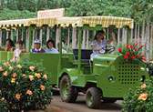 Maui Tropical Plantation