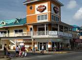 Guy Harvey's Island Grill