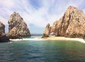 Baja Wild Snorkeling