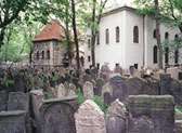 Old Town Synagogues and Jewish Museum in Prague