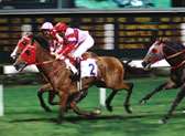 Happy Valley Racecourse