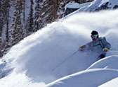 Ski Jackson Hole Powder