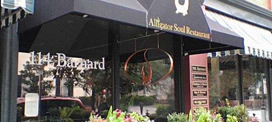 Alligator Soul