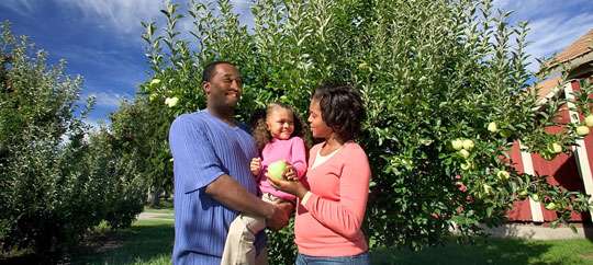 Apple Picking at Robinette’s Apple Haus, Winery & Gifts