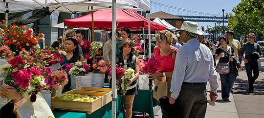 Ferry Plaza Farmers Market San Francisco