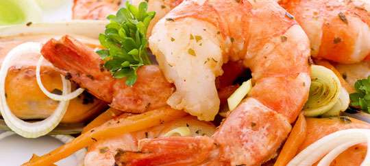 shrimp