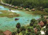 Billie Swamp Safari