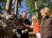 Riverbanks Zoo & Garden