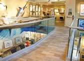 Guy Harvey Gallery and Shoppe