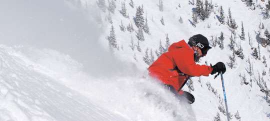 Bridger Bowl