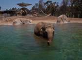 San Diego Zoo