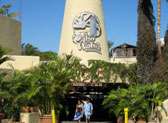 Cabo Wabo Cantina