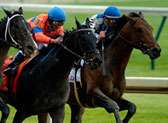 Churchill Downs and Kentucky Derby Museum