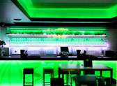 Mojito Lab