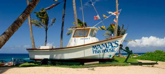 Mama's Fish House