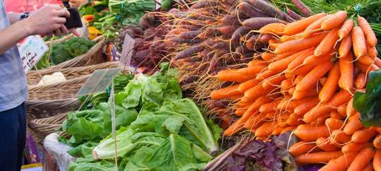 Italian Market