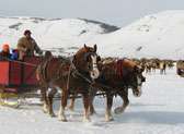 Take a Sleigh Ride