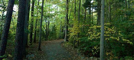 Greenway Trails