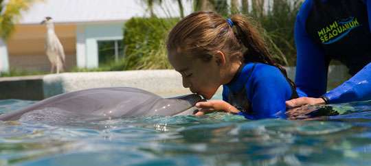 Miami Seaquarium