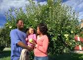 Apple Picking at Robinette’s Apple Haus, Winery & Gifts