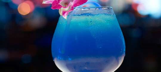 Blue Martini Lounge