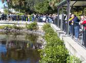 Manatee Park