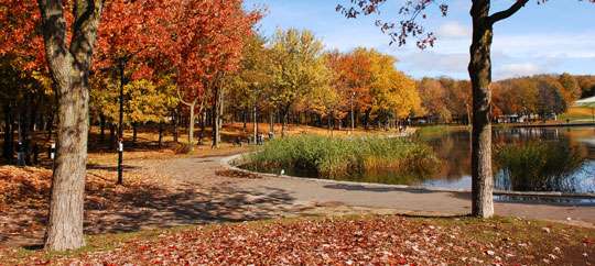 mount royal park