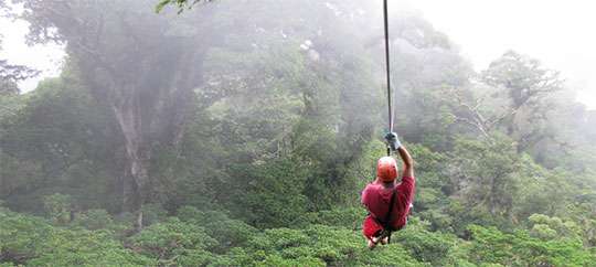 Jamaica Zipline Adventure