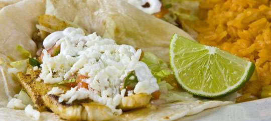 fish tacos
