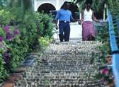 Climb 99 Steps