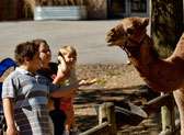 Knoxville Zoo