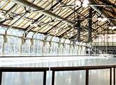 The Depot Ice Rink