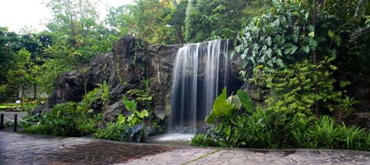 Singapore Botanic Gardens