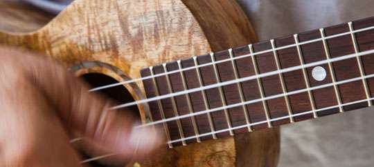 Mele Ukelele