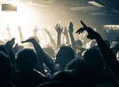 Sankeys