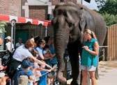 The Buffalo Zoo
