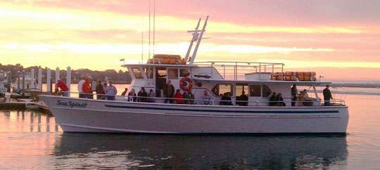 The Manatee Scenic Tours