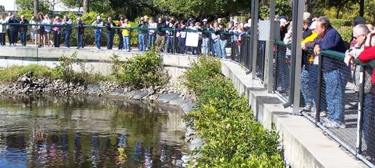 Manatee Park