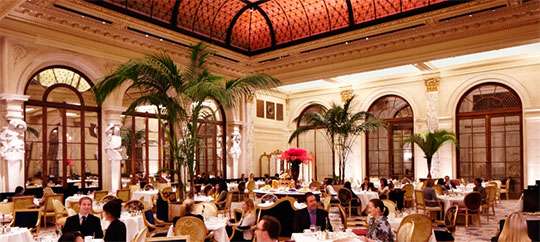 The Palm Court