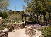 Arizona-Sonora Desert Museum