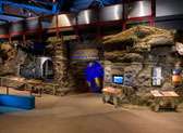 Milton J. Rubenstein Museum of Science & Technology (MOST)