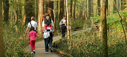 Congaree National Park